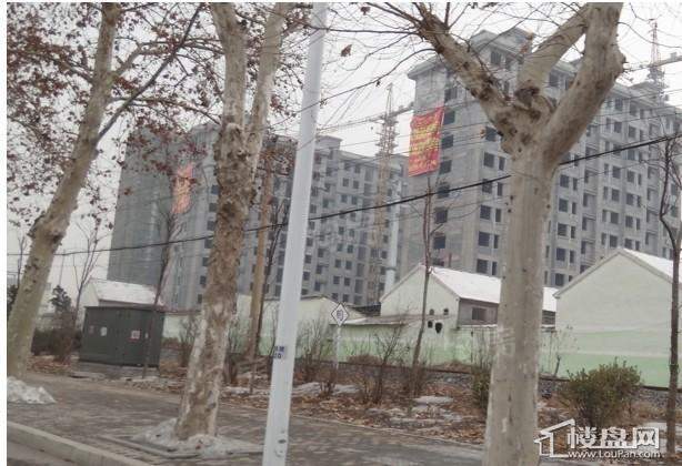 冠良御景实景图