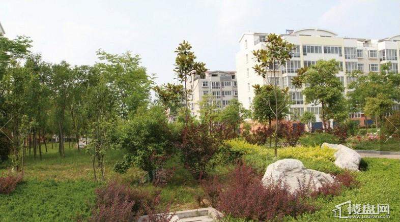凯泰养生庄园实景图
