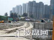 龙金首府实景图
