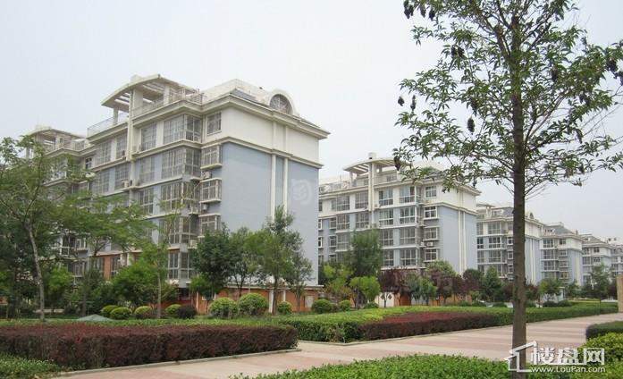 海圣春天四期实景图