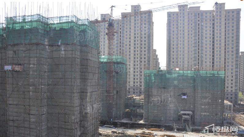 实景图