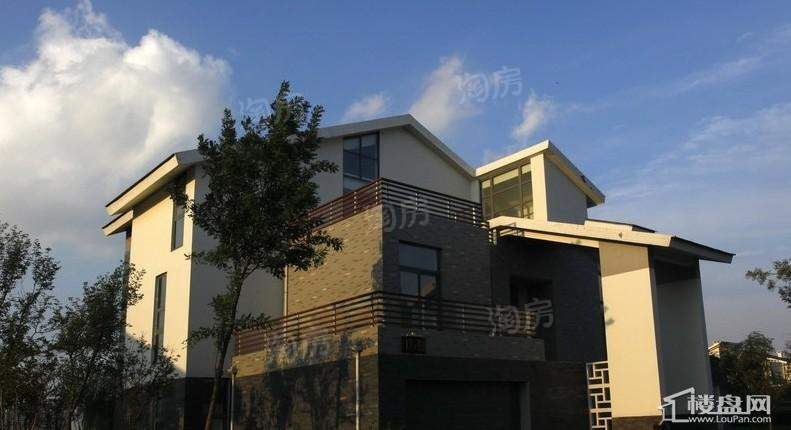 鸿嘉星城实景图