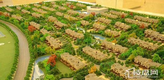 鸿嘉星城实景图