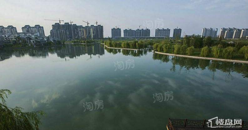 鸿嘉星城实景图