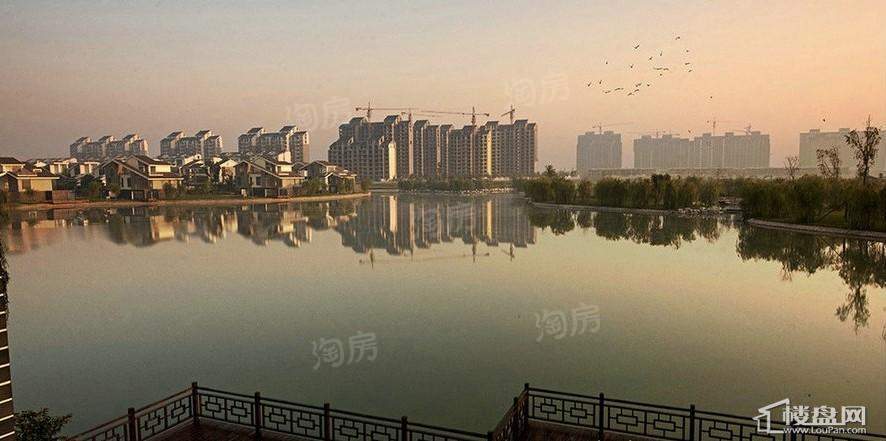 鸿嘉星城实景图