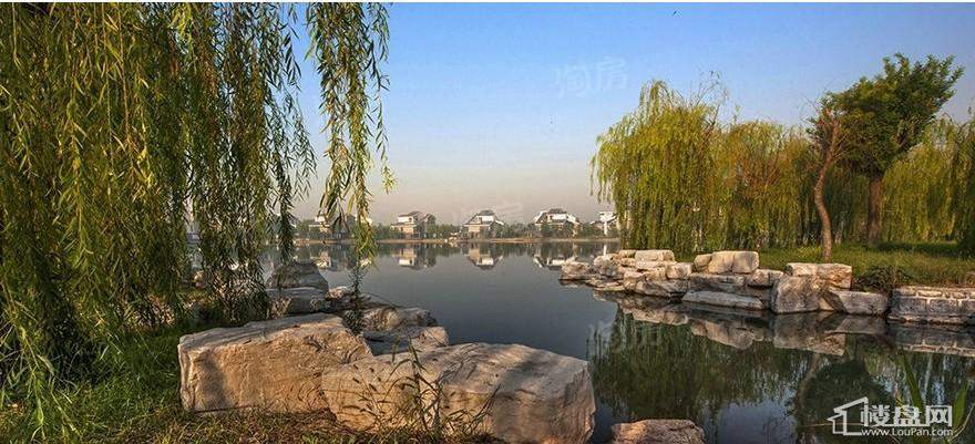 鸿嘉星城实景图