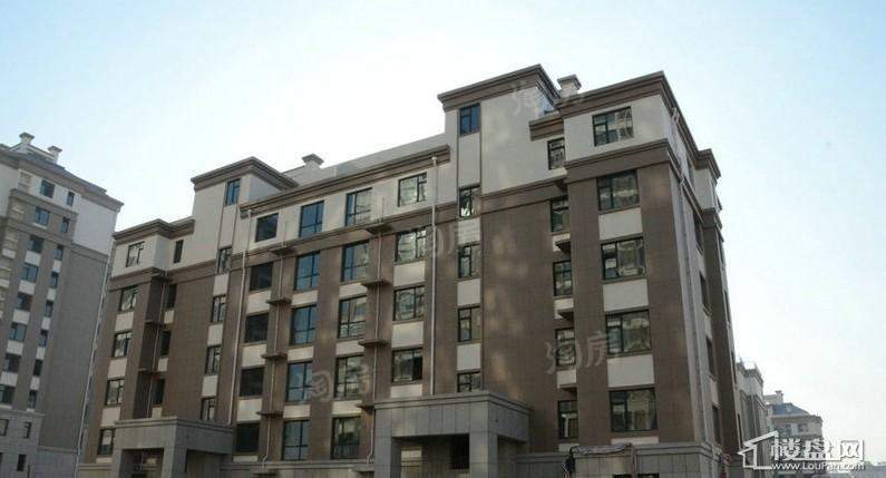 冠华橄榄城实景图