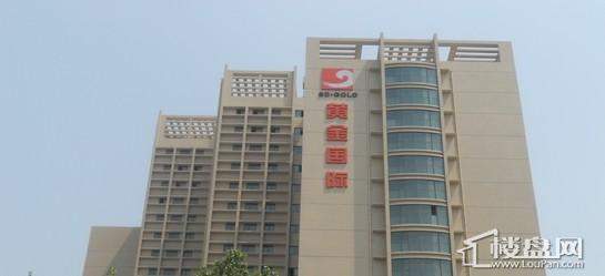 黄金国际实景图