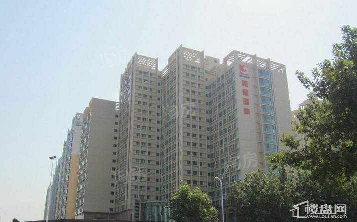 黄金国际实景图