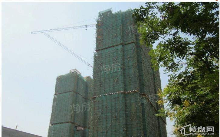 黄金国际实景图