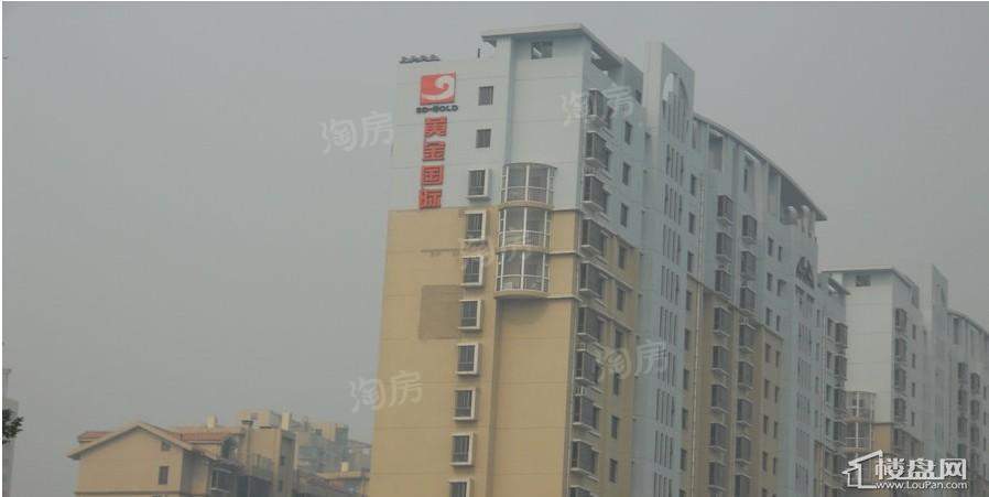 黄金国际实景图