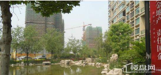 黄金国际实景图