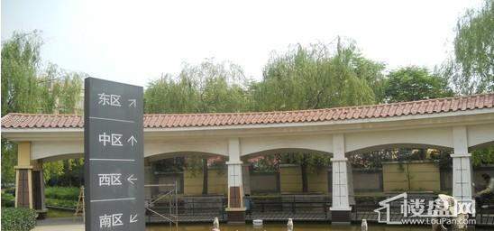 黄金国际实景图