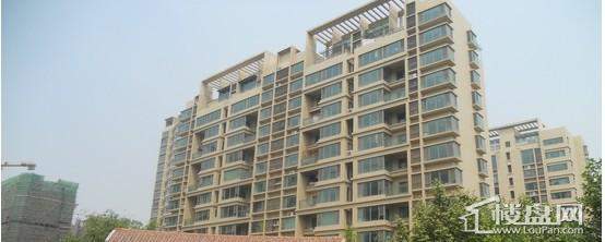 黄金国际实景图