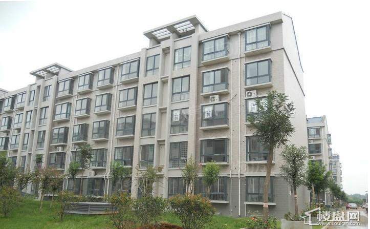 盛世新东城实景图