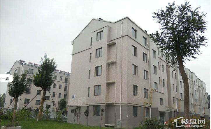 盛世新东城实景图