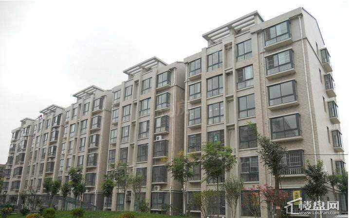 盛世新东城实景图