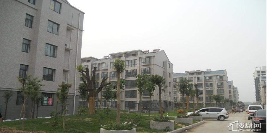 盛世新东城实景图