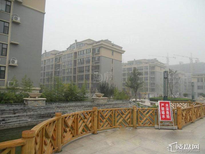 金洲花园实景图