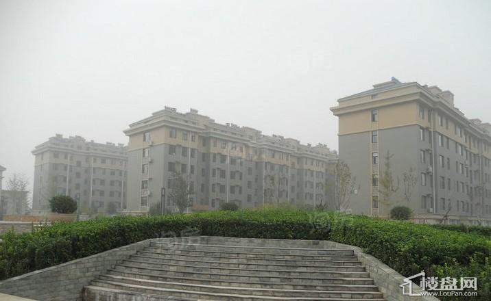 金洲花园实景图