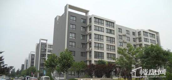 恒生国际星城实景图