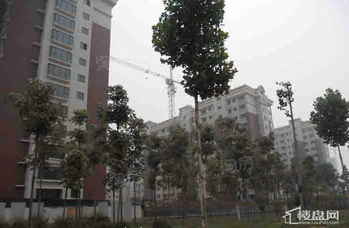 龙泰苑世嘉实景图
