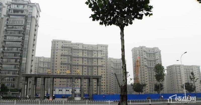 京润巴黎春天实景图