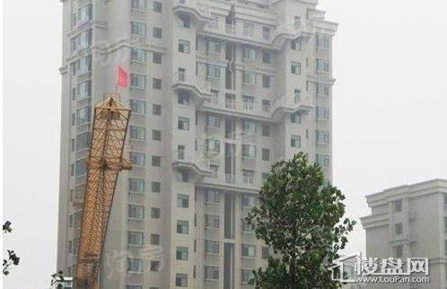 京润巴黎春天实景图