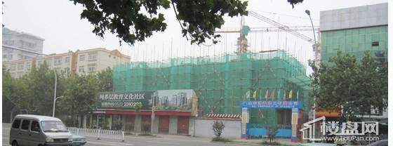 高德城市花园实景图