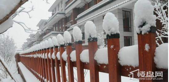 远景玉城实景图