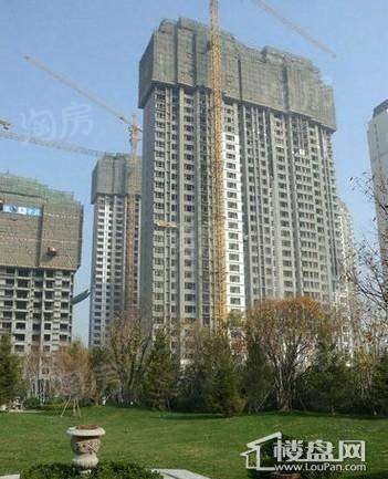 华润中央公园实景图