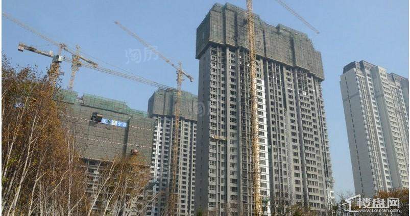 华润中央公园实景图
