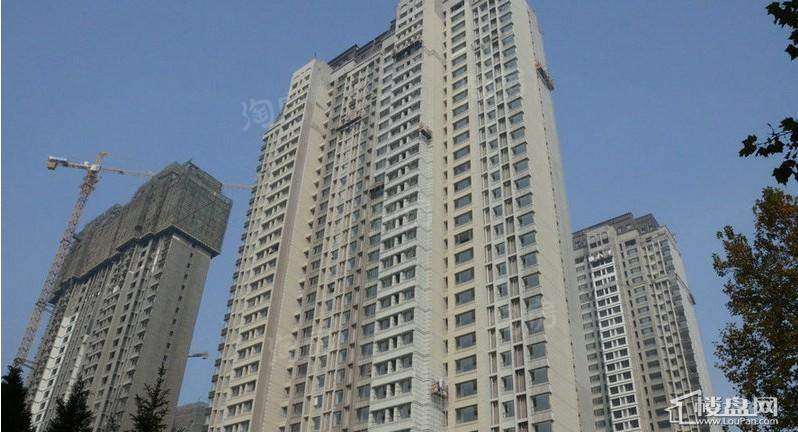 华润中央公园实景图