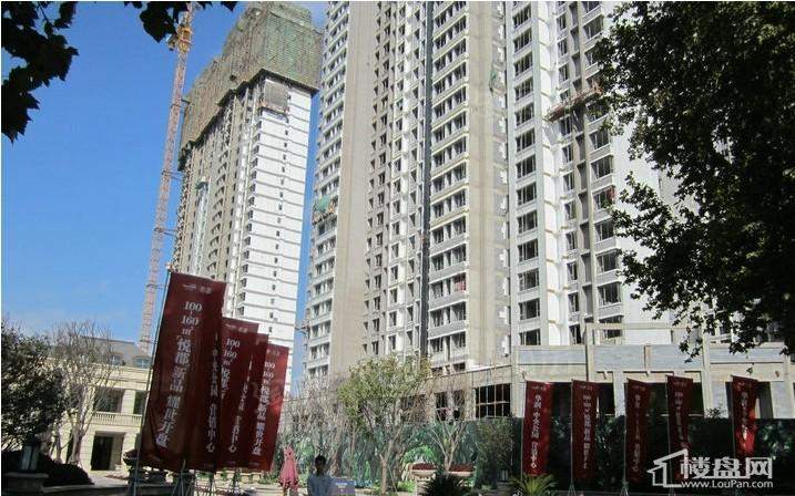 华润中央公园实景图