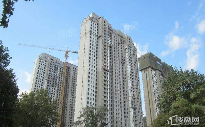华润中央公园实景图