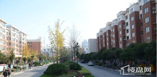 美达华庭三期幸福里 实景图