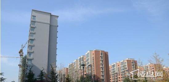 实景图