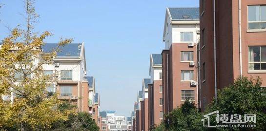 美达华庭三期幸福里 实景图