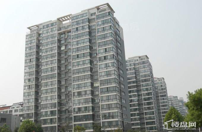 阳光花园 实景图