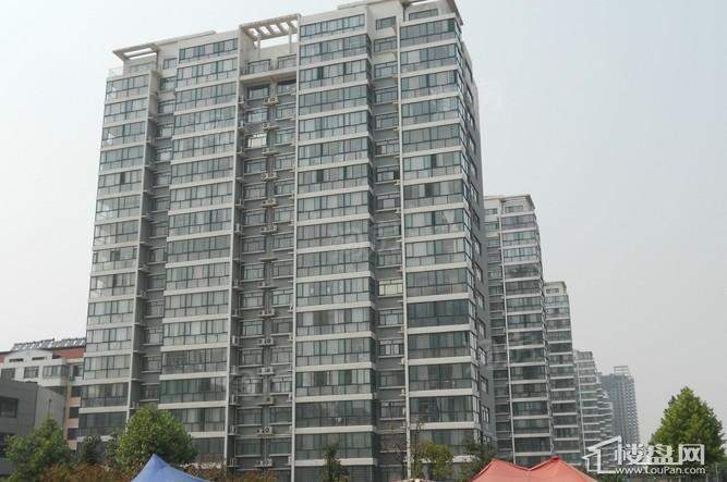 阳光花园 实景图