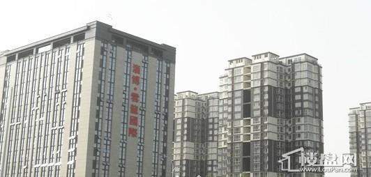 云龙国际实景图