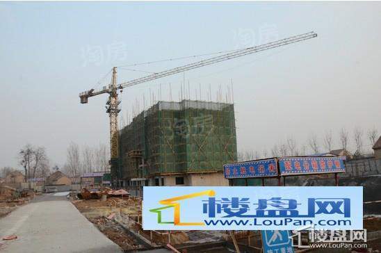 鸿泰·花漾城实景图