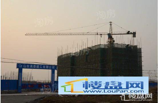 鸿泰·花漾城实景图