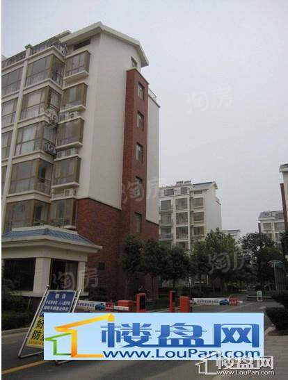 金润和谐居实景图