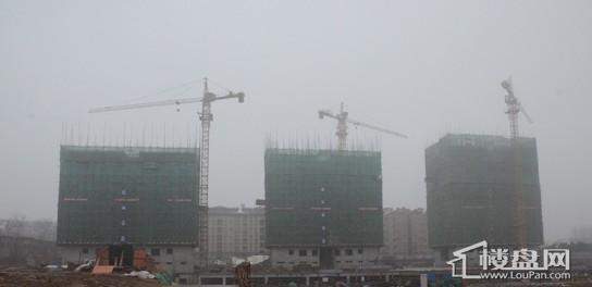 实景图