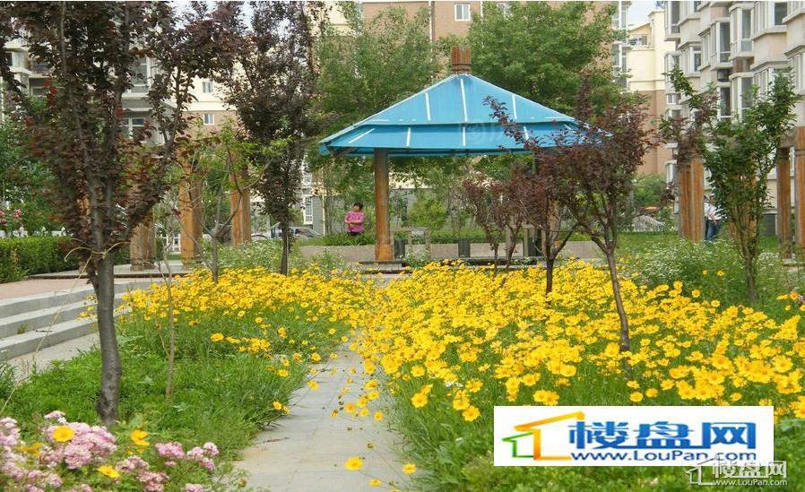 奥林匹克花园实景图