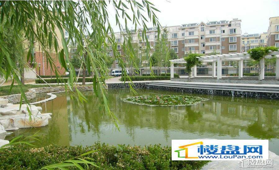 实景图