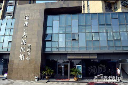 宝业大坂风情实景图