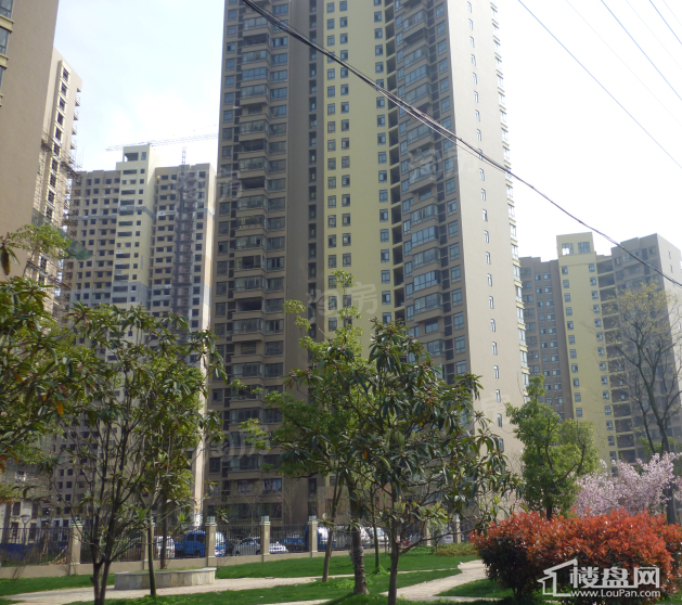 瑞泰翰林水岸实景图