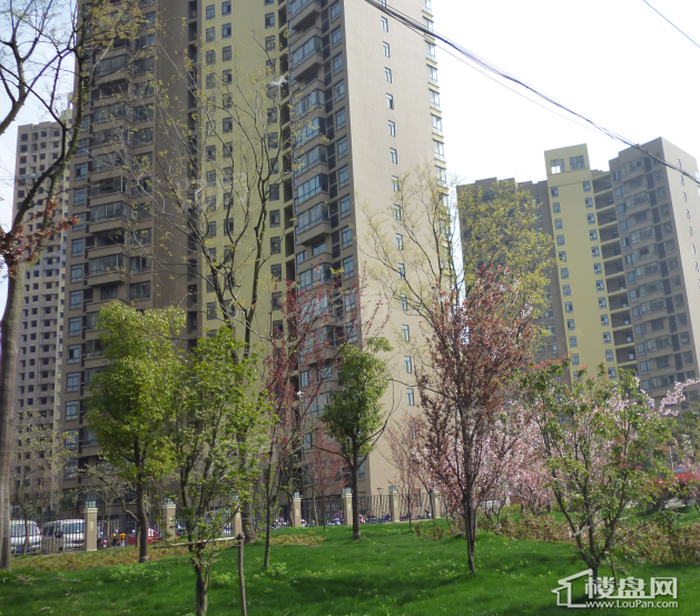 瑞泰翰林水岸实景图